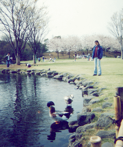 plate of kaguya park